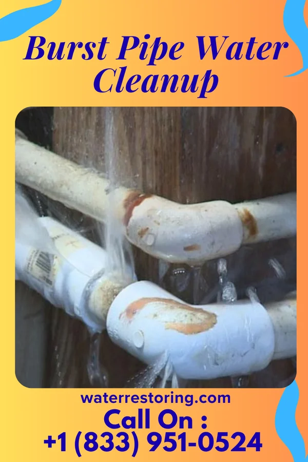 Burst Pipe Water Cleanup in Five Points, OH