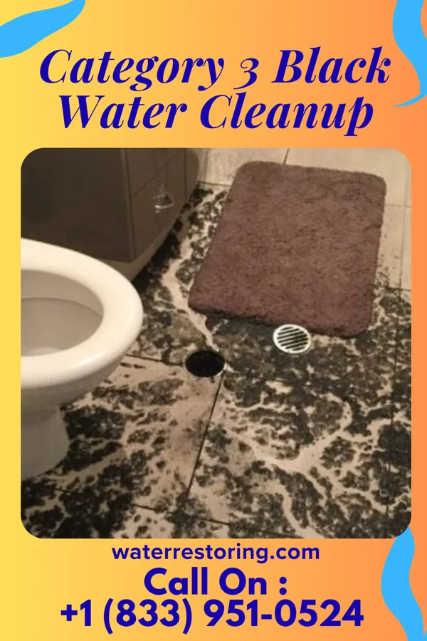 Category 3 Black Water Cleanup in Five Points, OH