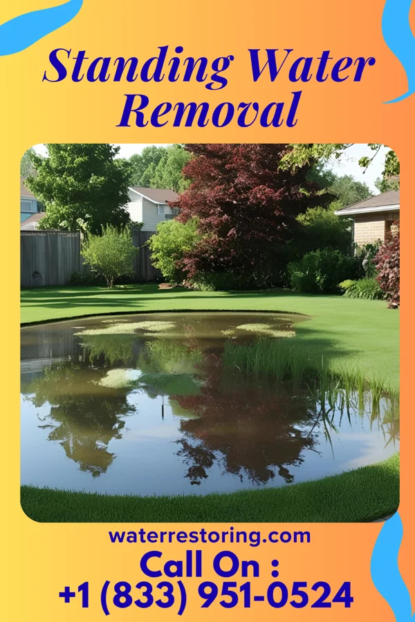 Standing Water Removal in Five Points, OH